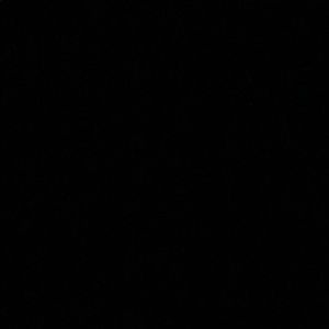 Meet your Posher, Alana